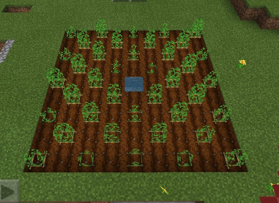 Minecraft Farm